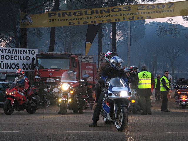 Imagen de Galeria de Pingüinos 2007