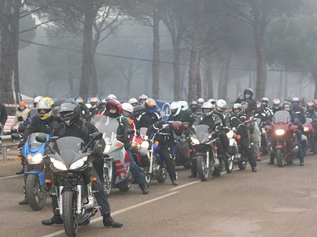 Imagen de Galeria de Pingüinos 2008