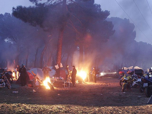 Imagen de Galeria de Pingüinos 2007, récord absoluto