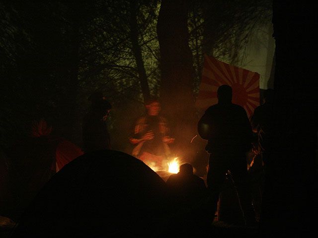 Imagen de Galeria de Pingüinos 2007, récord absoluto