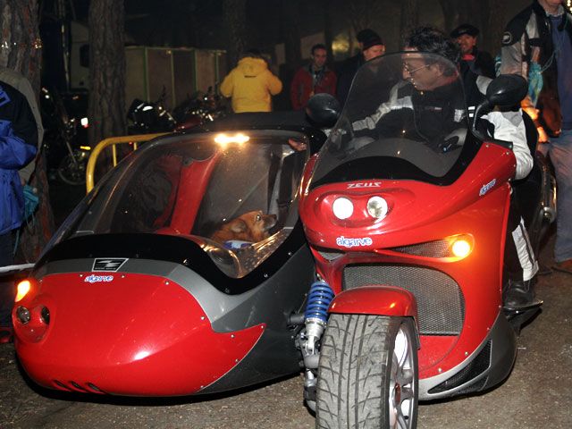 Imagen de Galeria de Pingüinos 2007