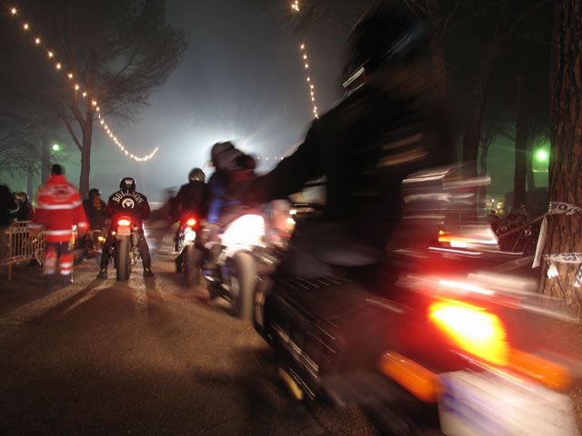 Imagen de Galeria de Pingüinos 2007