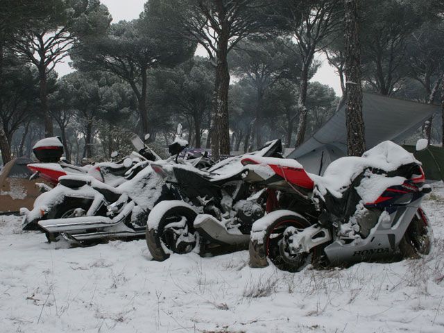 Imagen de Galeria de Pingüinos 2009. De noche bajo la nieve