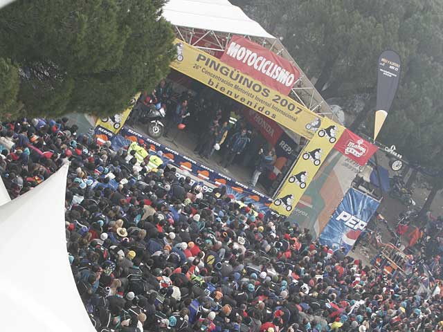 Imagen de Galeria de Pingüinos 2008
