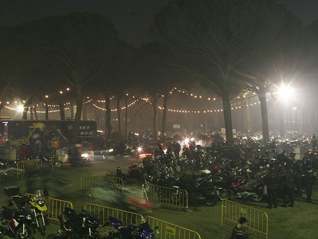 Imagen de Galeria de Pingüinos 2007