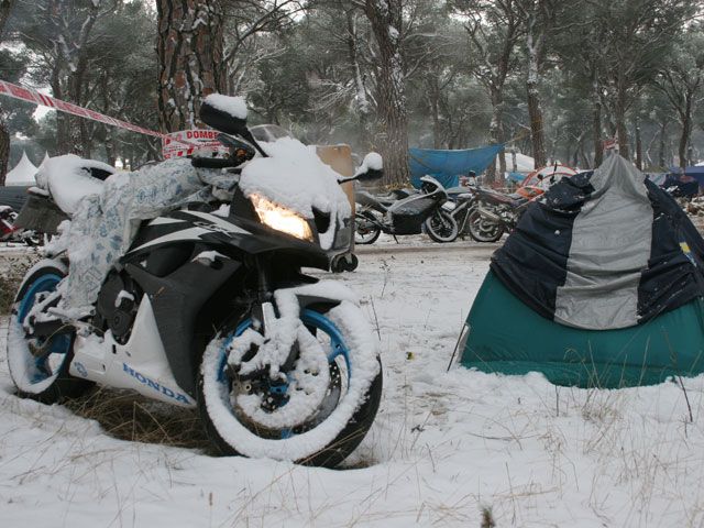 Imagen de Galeria de Pingüinos 2009. De noche bajo la nieve