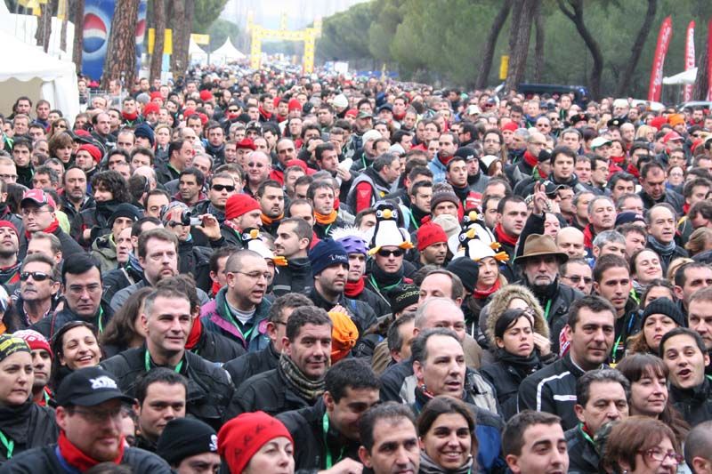 Pinguinos 2011