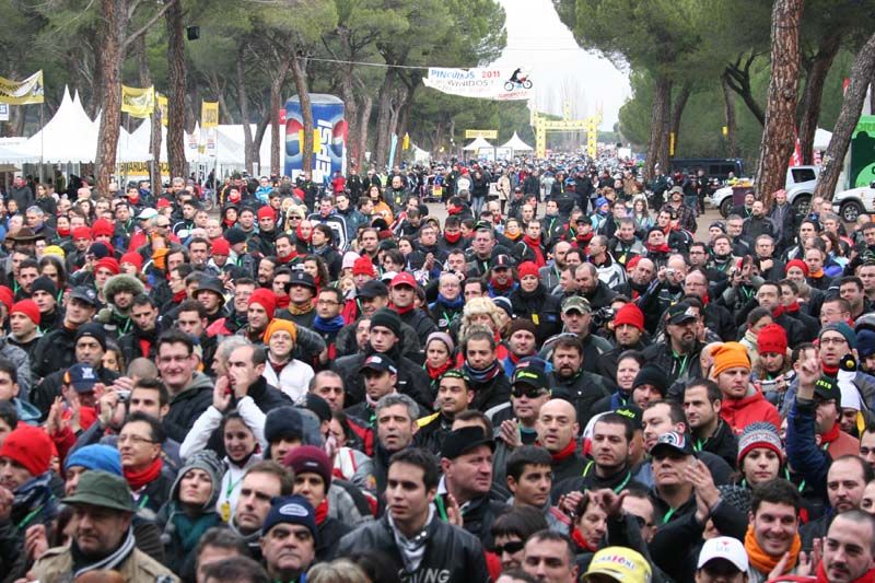 Pinguinos 2011