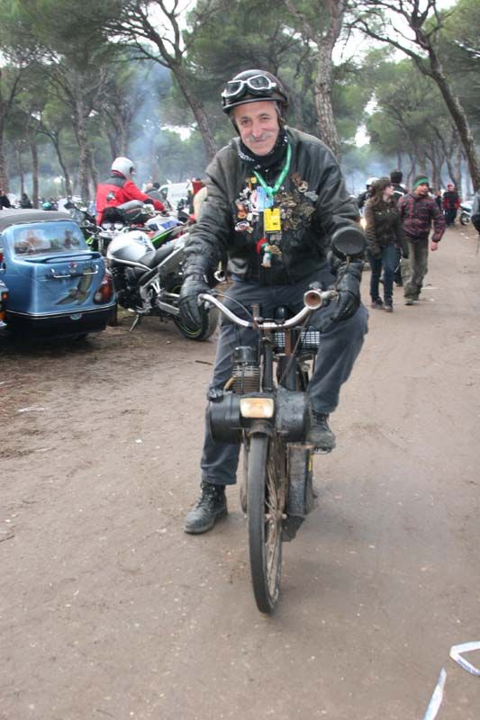 Pinguinos 2011