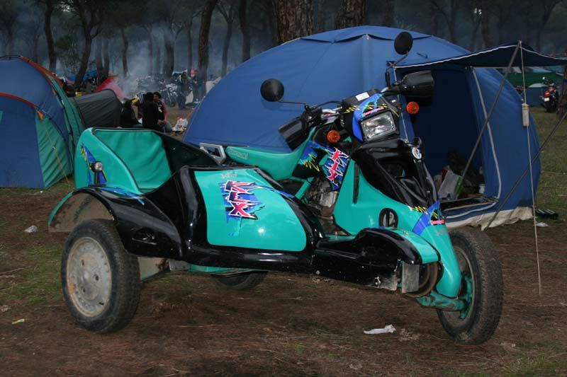 Pinguinos 2011