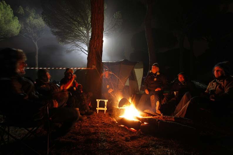 Pingüinos 2012