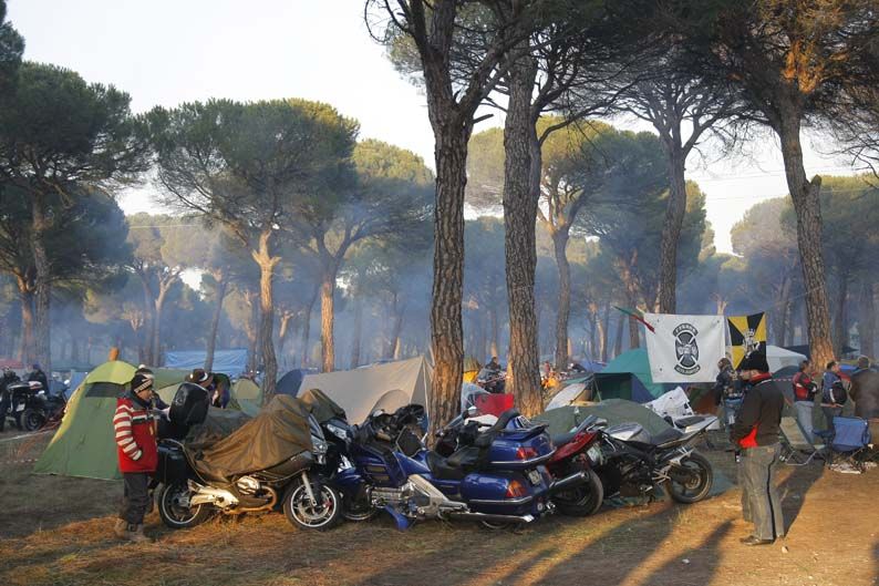 Pingüinos 2012