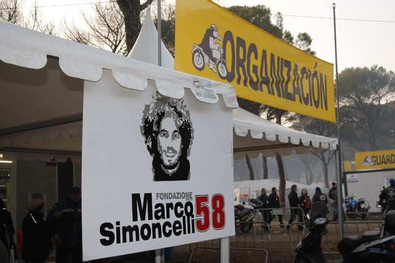 Pingüinos 2012