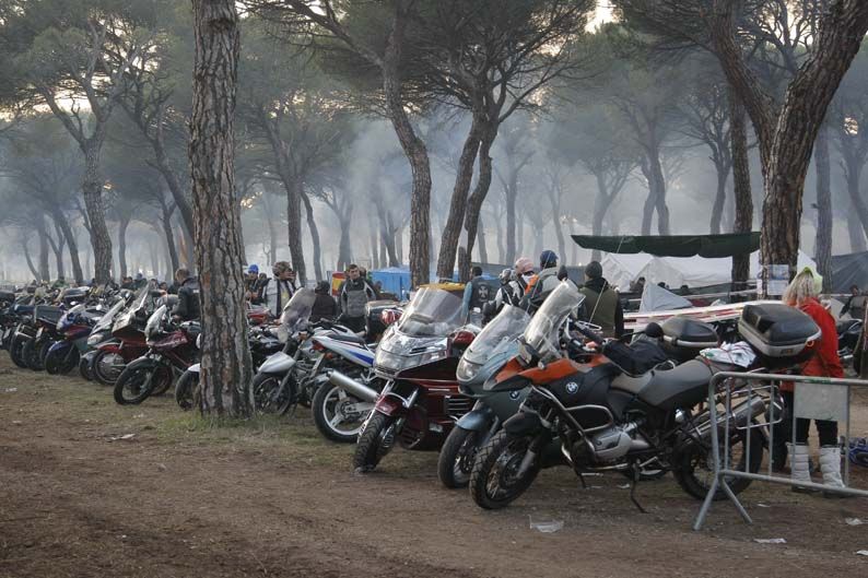 Pingüinos 2012