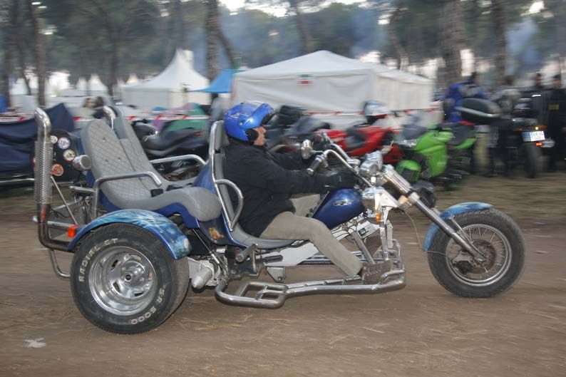 Pingüinos 2012
