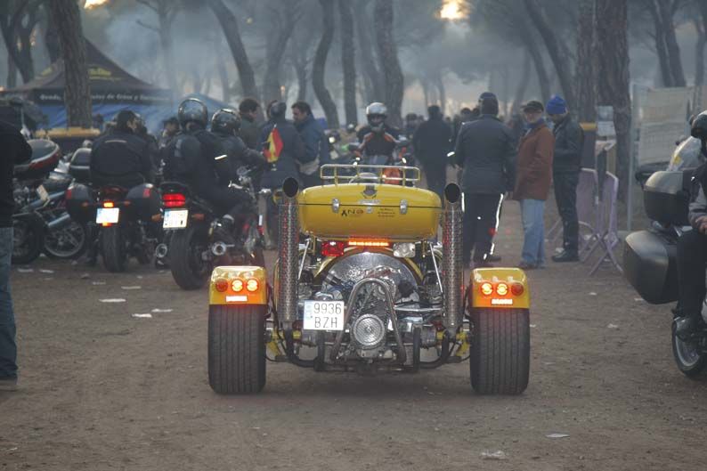 Pingüinos 2012