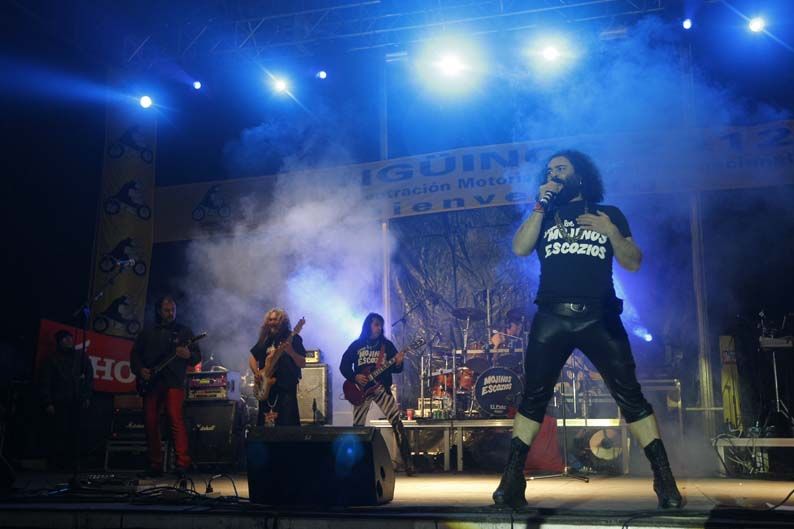 Pingüinos 2012