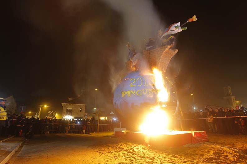Pingüinos 2012