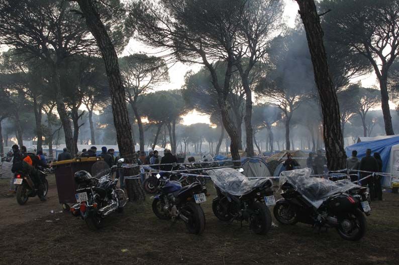 Pingüinos 2012