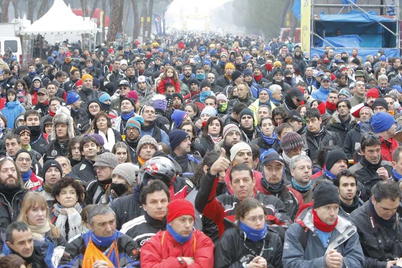 Pingüinos 2012
