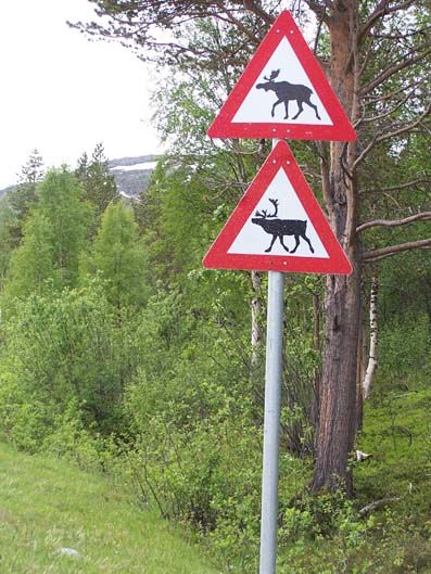 Turismo Cabo Norte en moto