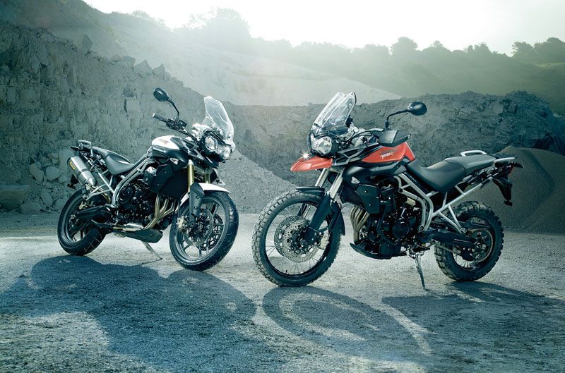 Promociones Triumph