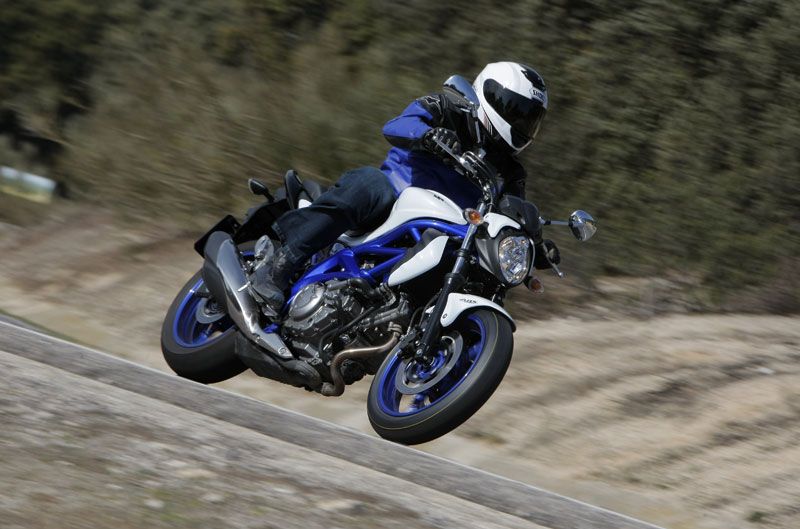 Suzuki Gladius 650