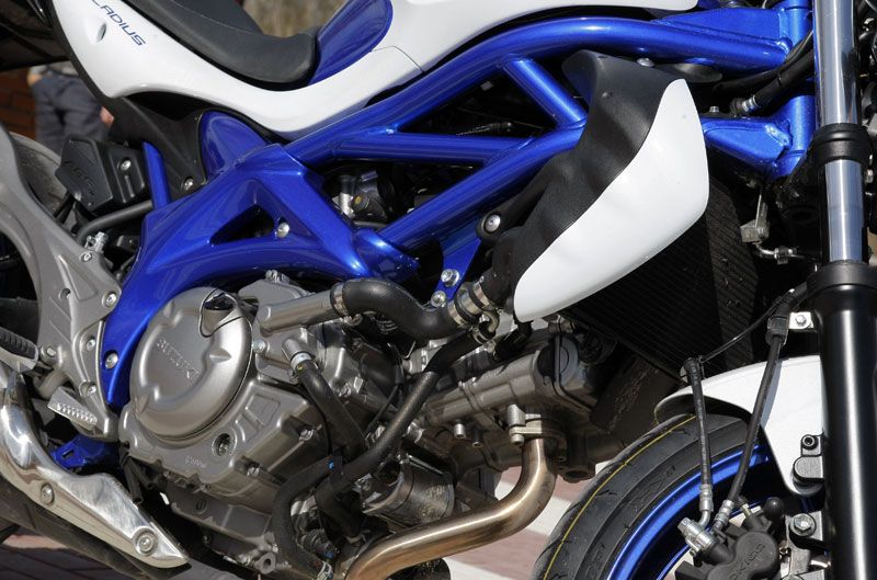 Suzuki Gladius 650