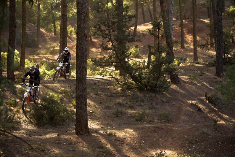 KTM Freeride 350