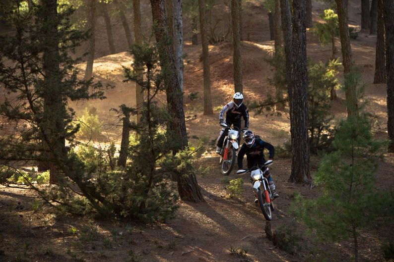 KTM Freeride 350
