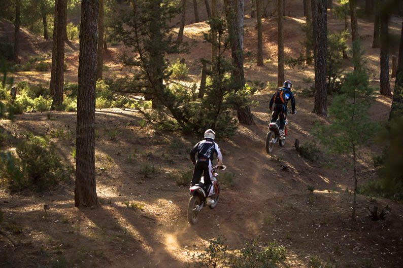 KTM Freeride 350