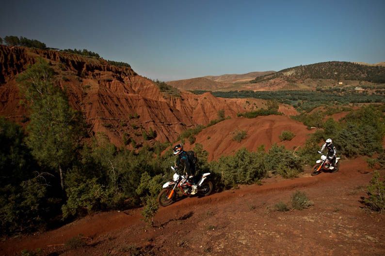 KTM Freeride 350