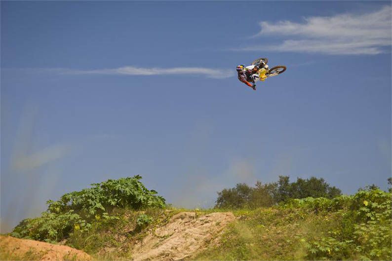 James Stewart Suzuki