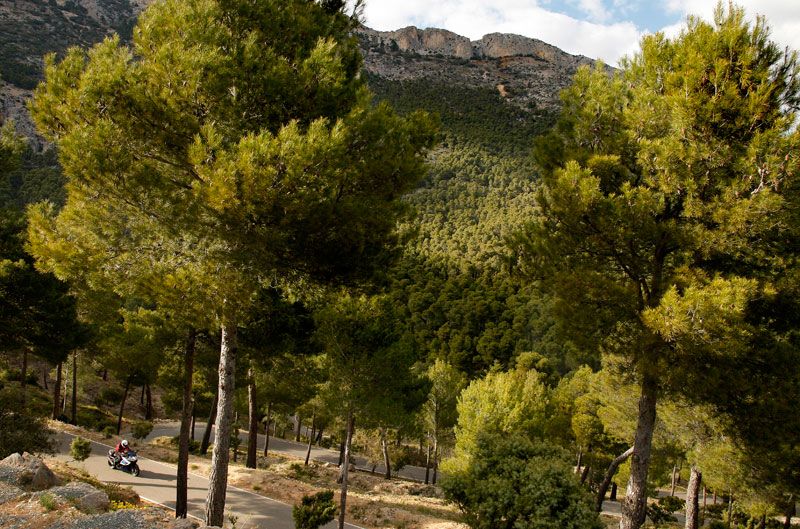 Naturaleza en el sur de España