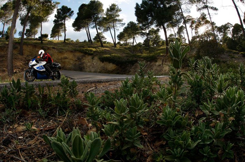 Muestrario de la naturaleza murciana