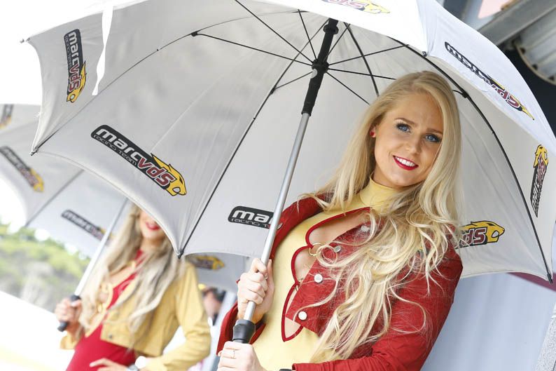 Chicas de MotoGP en Australia 2012