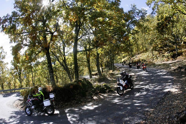 Dunlop Trailmax TR91