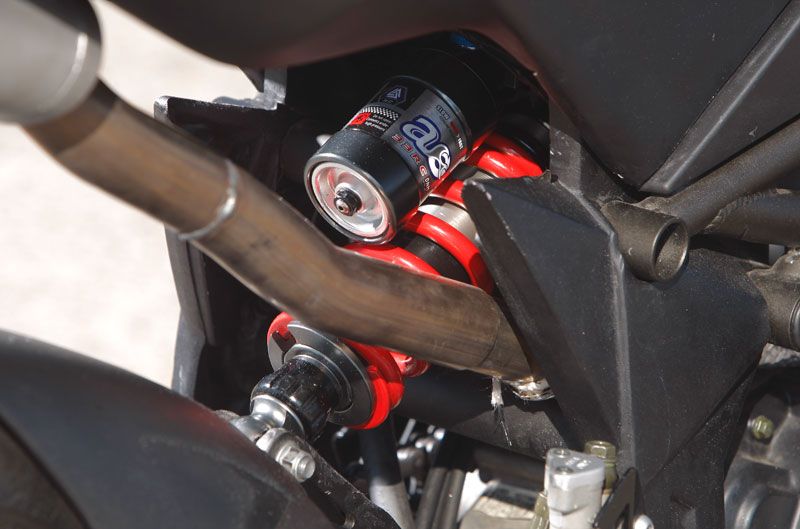 Premoto3 Series Cup