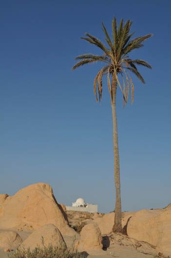 Tunisia Rally Tour 2012