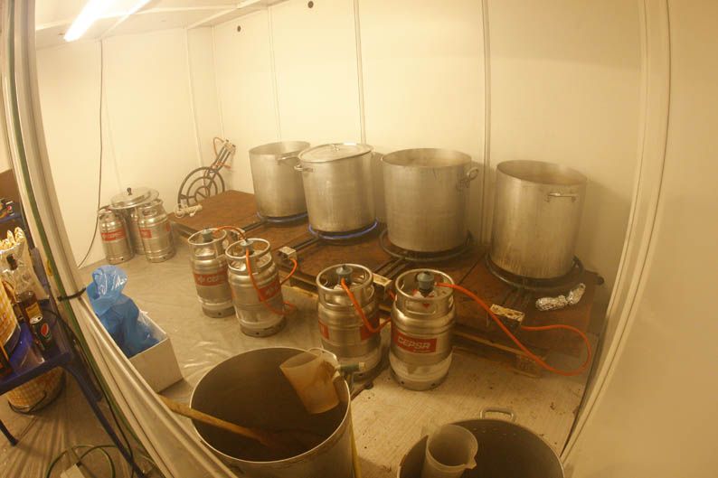 Pingüinos 2013