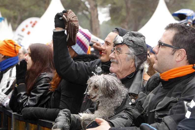Pingüinos 2013