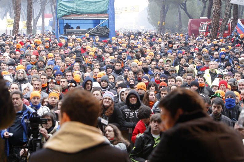 Pingüinos 2013