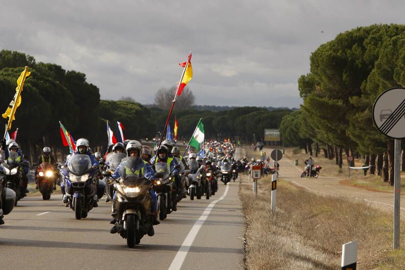 Pingüinos 2013