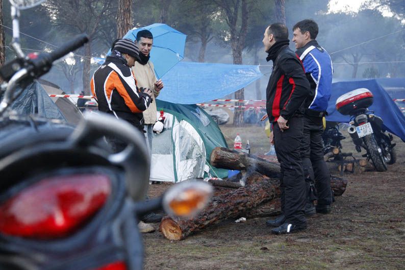 Pingüinos 2013
