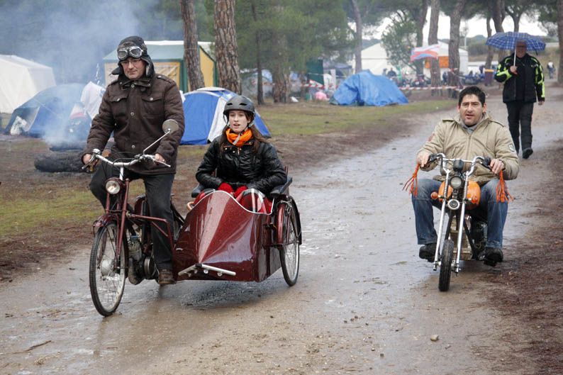 Pingüinos 2013
