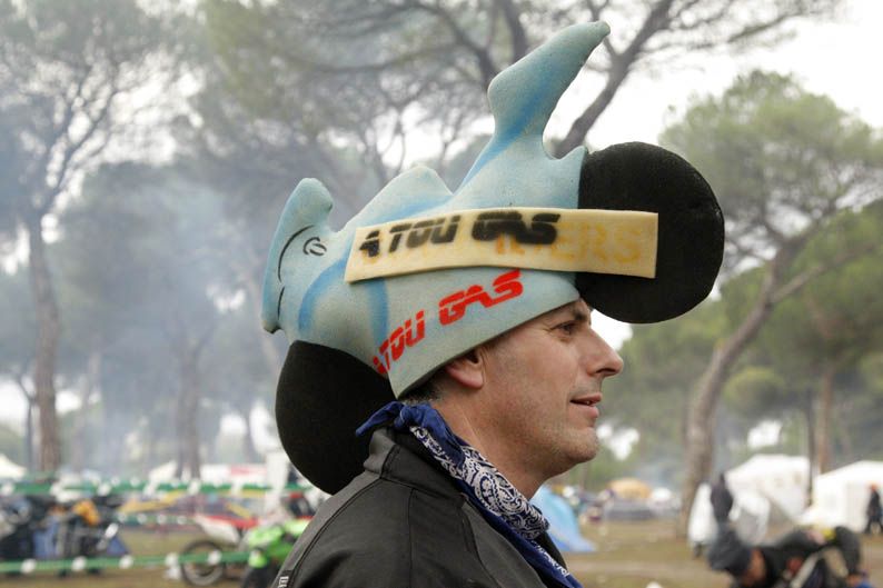 Pingüinos 2013