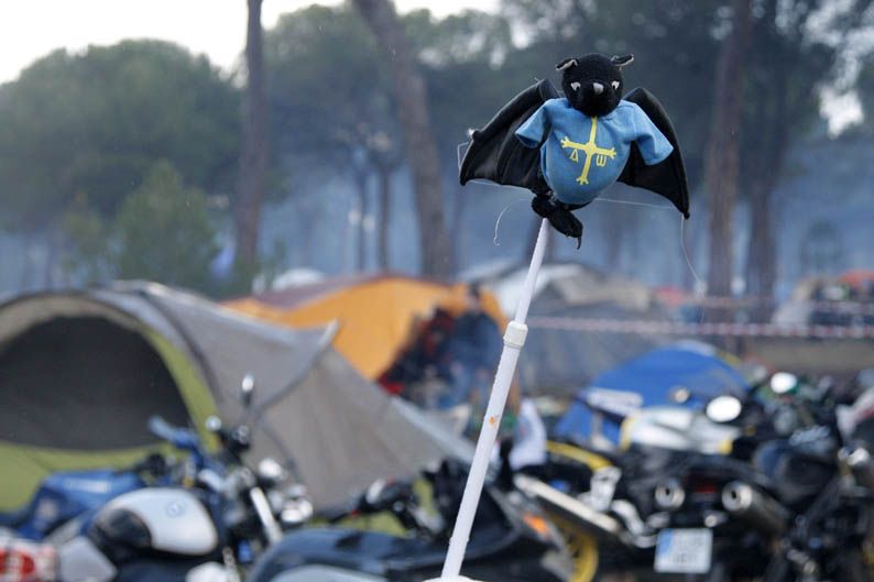 Pingüinos 2013