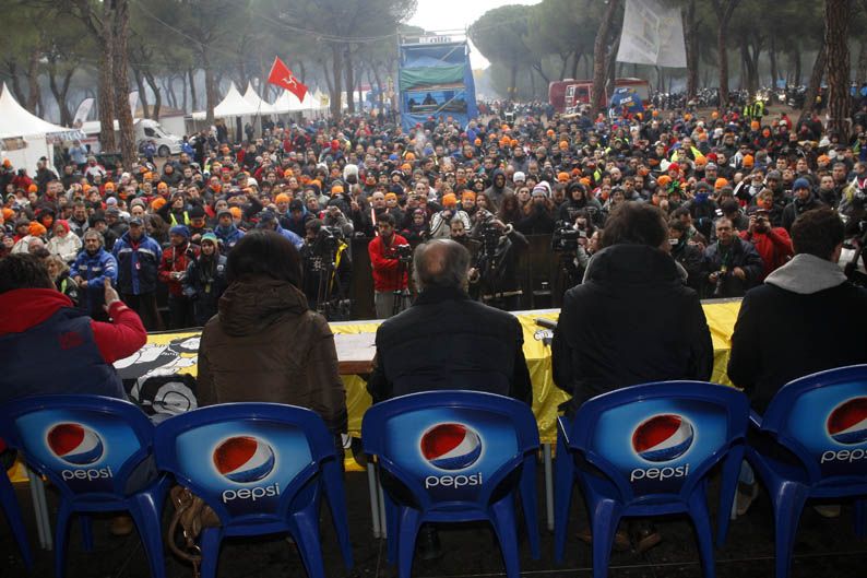Pingüinos 2013