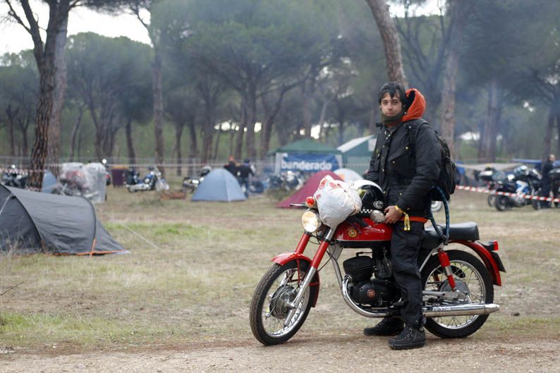 Pingüinos 2013