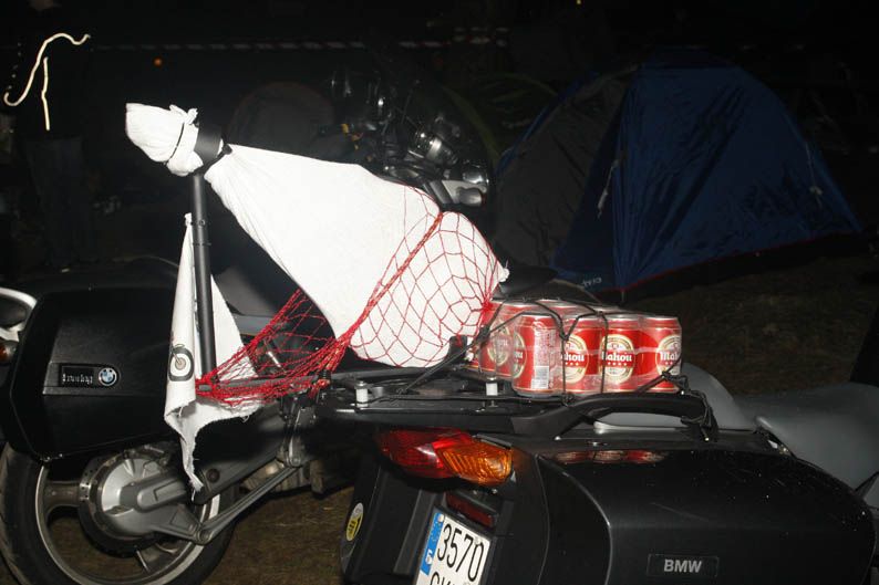 Pingüinos 2013